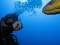   Discussion grouper... grouper...! grouper! grouper  